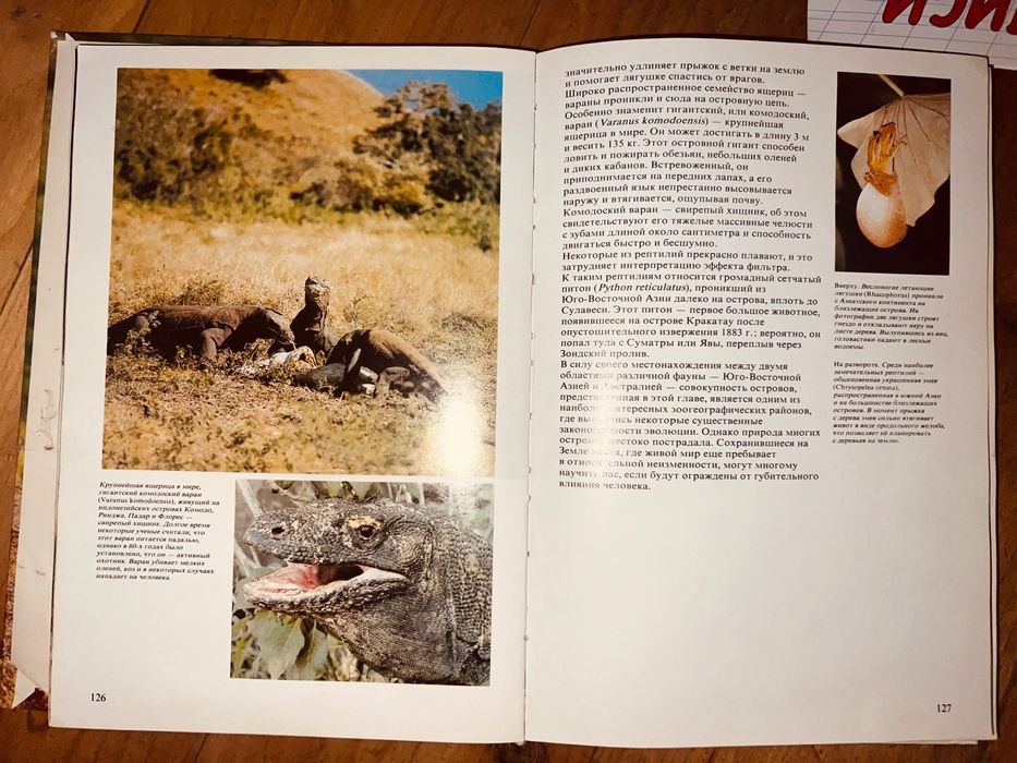 Уильям Х. Амос Живой мир островов