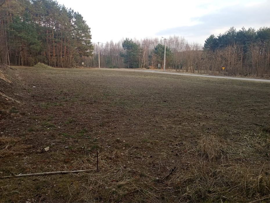 Działka z warunkami zabudowy ( Kostrzewy )