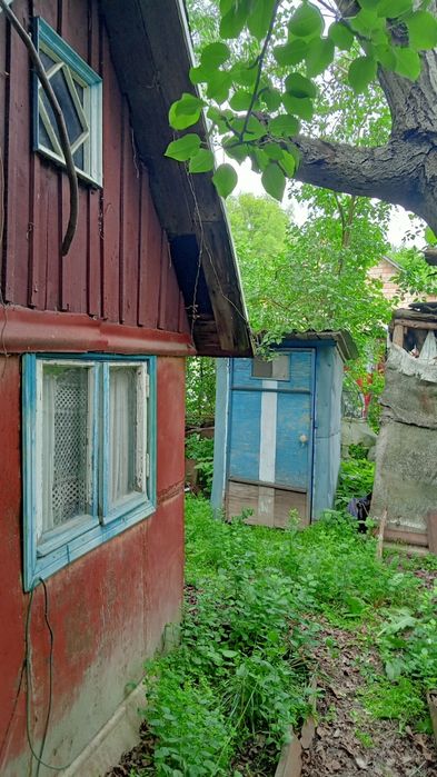 Простора садиба 0,5га (50сот.)біля  Брусилова (с.Ковганівка). Власник.
