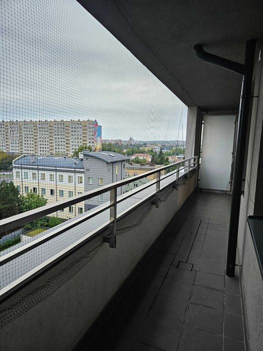 Zdjęcie 8