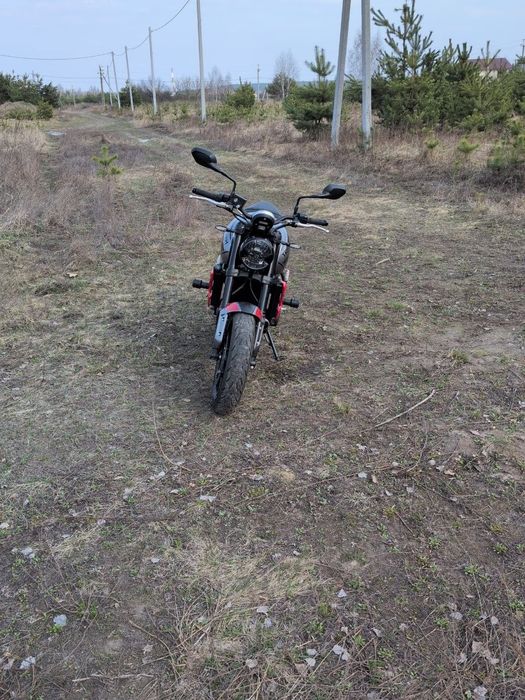 Triumph Trident 660 - 2024 рік