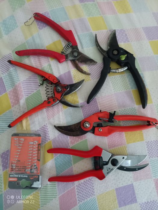 Multímetro i tesouras de poda vindima