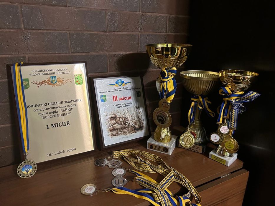 Лайка для в'язки трьох кратний Польовий Чемпіон