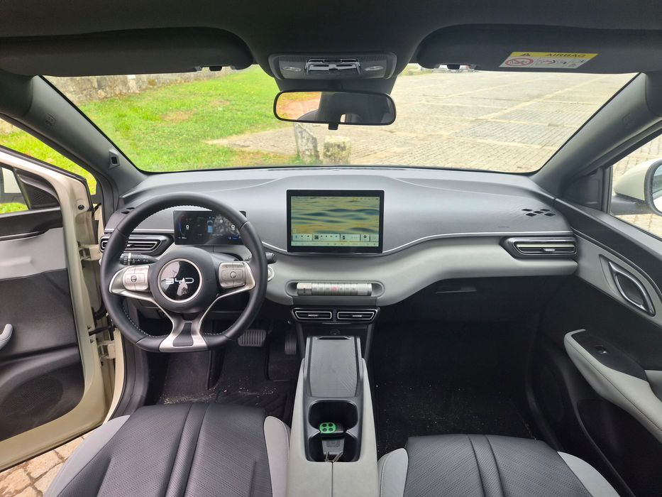 BYD Dolphin Surf
