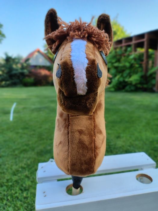 Hobby horse A4 rudy