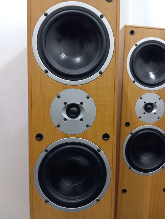 Акустическая система CatMBC- 313 b