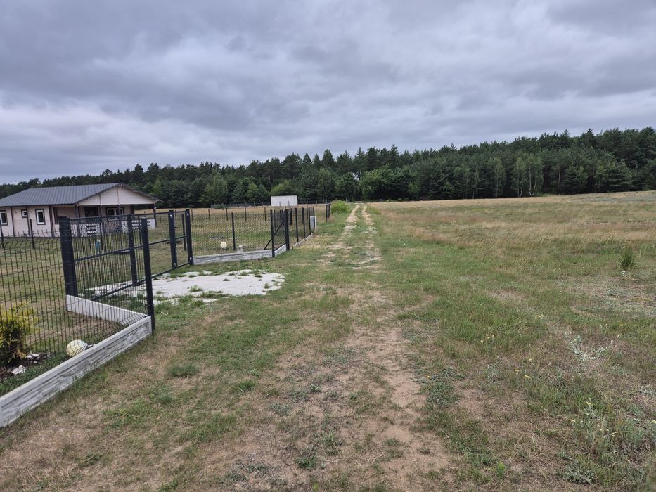 Piękna Działka w leśnym zaciszu, nieopodal jeziora Urszulewskiego, woda w działce, prąd w drodze przy działkach Warunki zabudowy