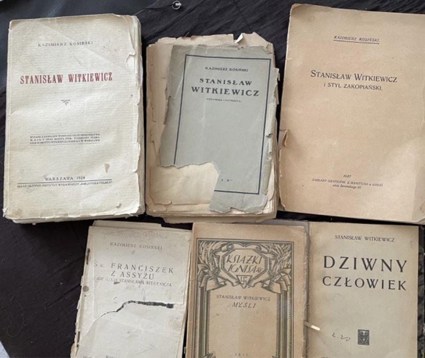 Zestaw unikatowych ksiazek - stanislaw Witkiewicz