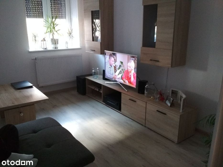 mieszkanie 3 pokoje za 2000 zł