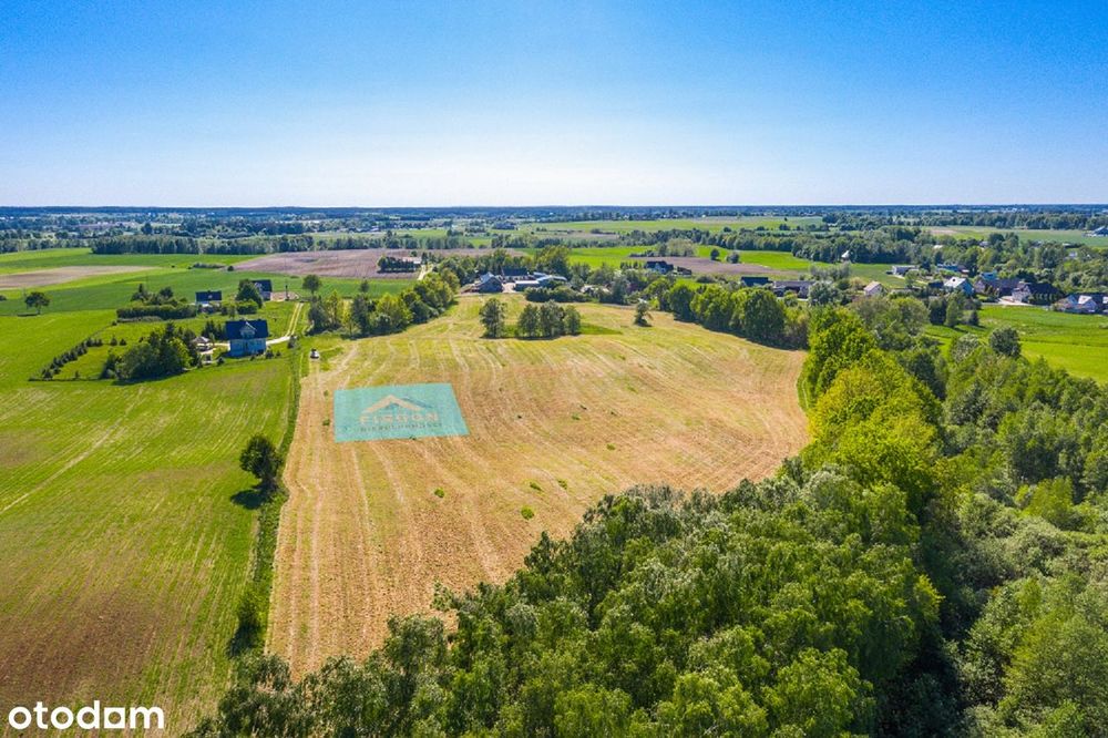 Na sprzedaż działki budowlane – Pałubin, gm. Stara Kiszewa - View 3