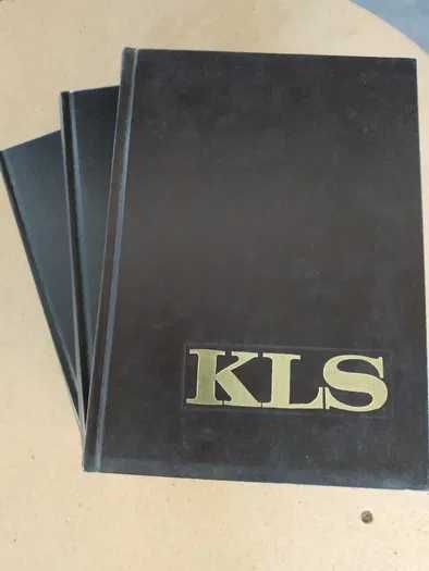 Dicionário enciclopédico KLS