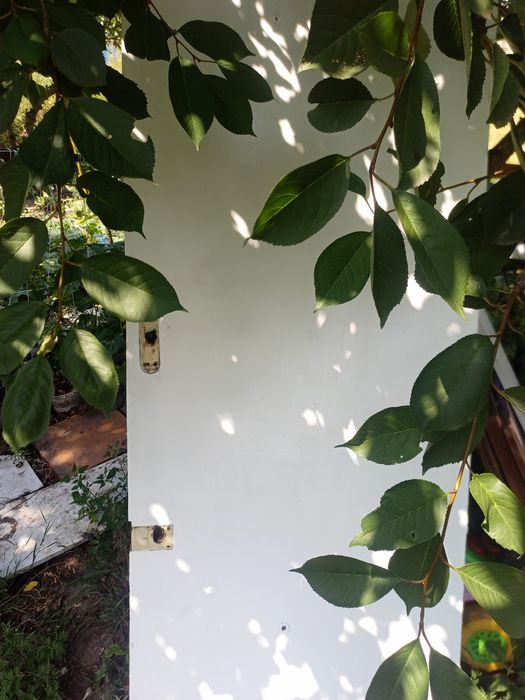 Продам двери входные