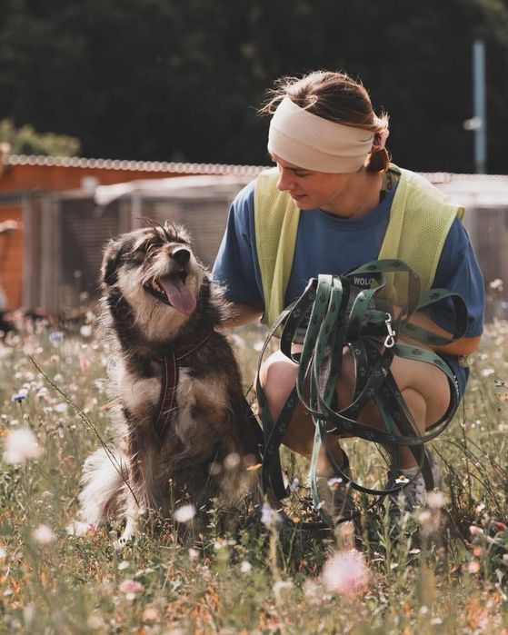 Sunia Nefra szuka domu