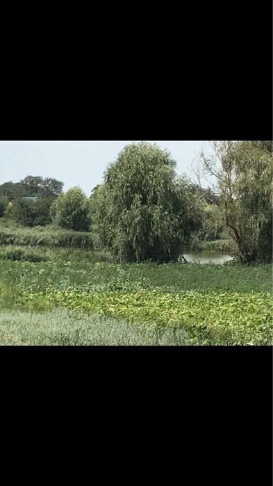 Продам дом Киевская обл.Згуровский район.