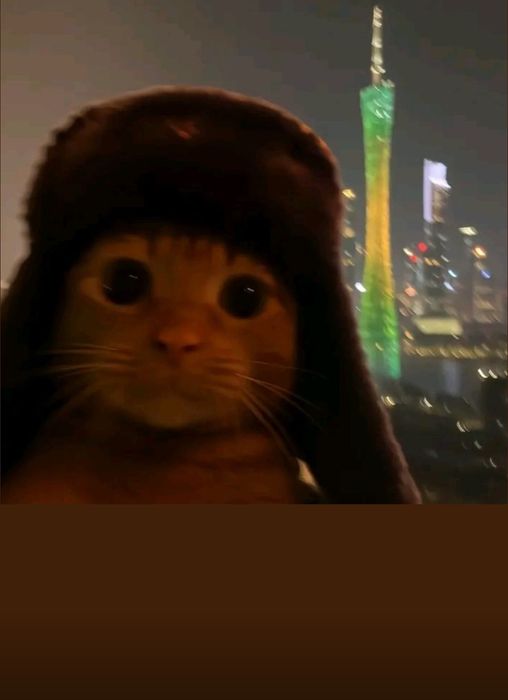 Кортинка  ультро гелекси +