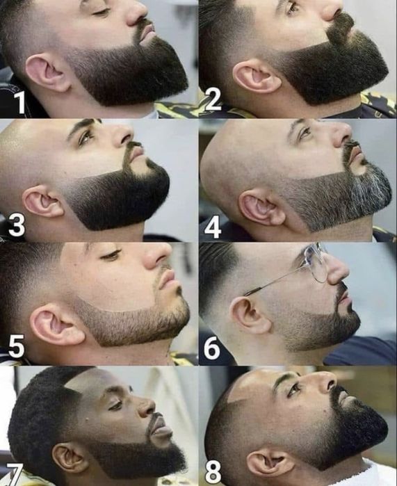 Barbeiro barreiro & Alhos vedros