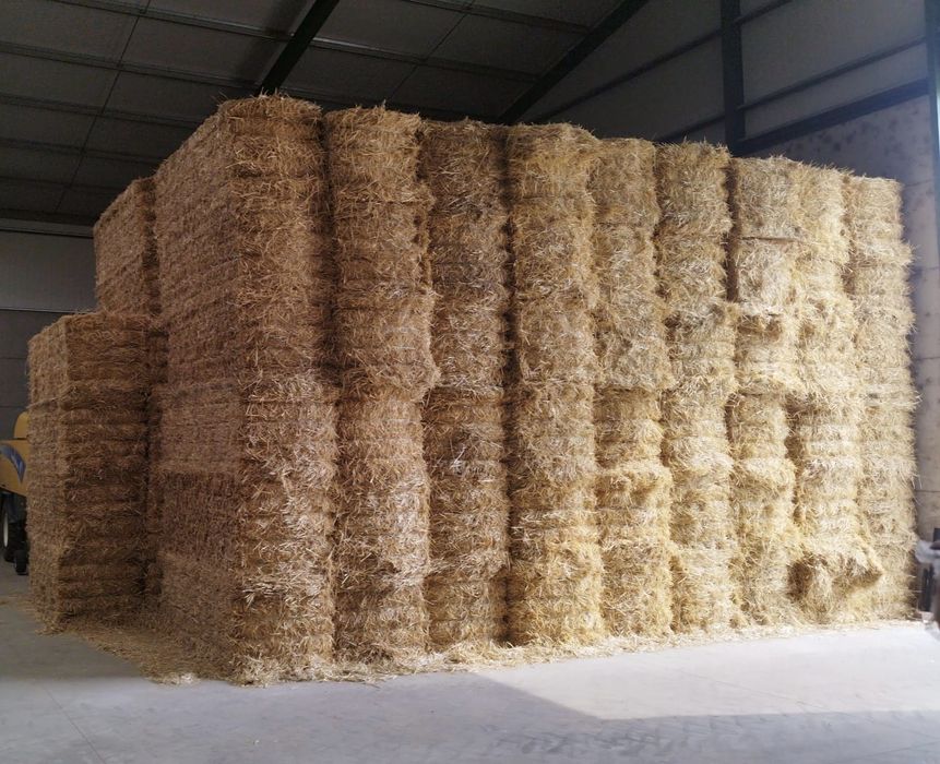 Palha trigo e cevada