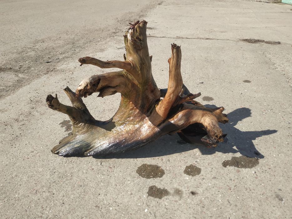 Корч  в  акваріум