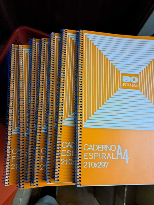 Cadernos pautados e quadriculados