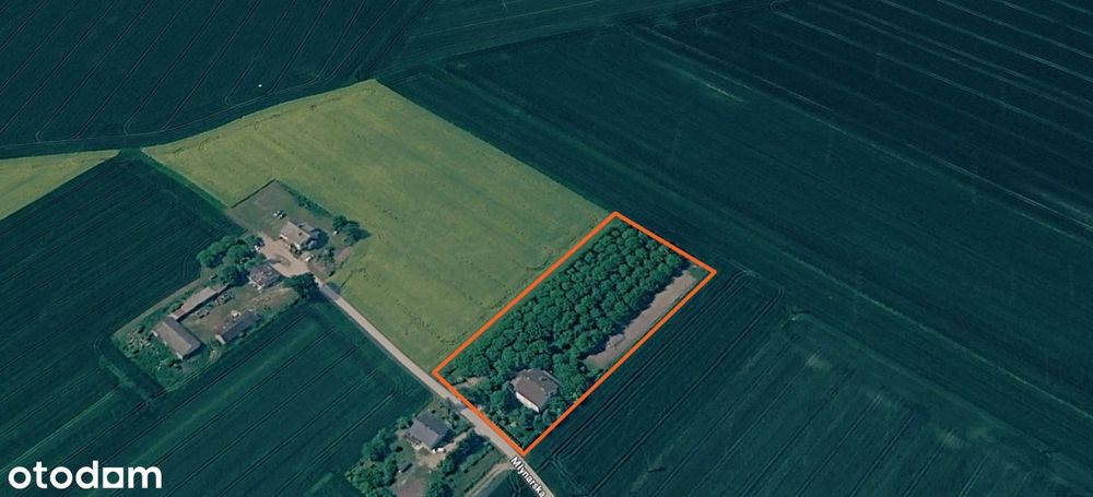 Dom 200m2 | 2 garaże |Duża Działka 5600m2 | Chruszczewo, ul Młynarska