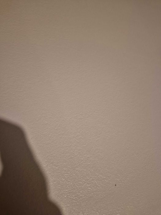 Blat egger kaszmir U702