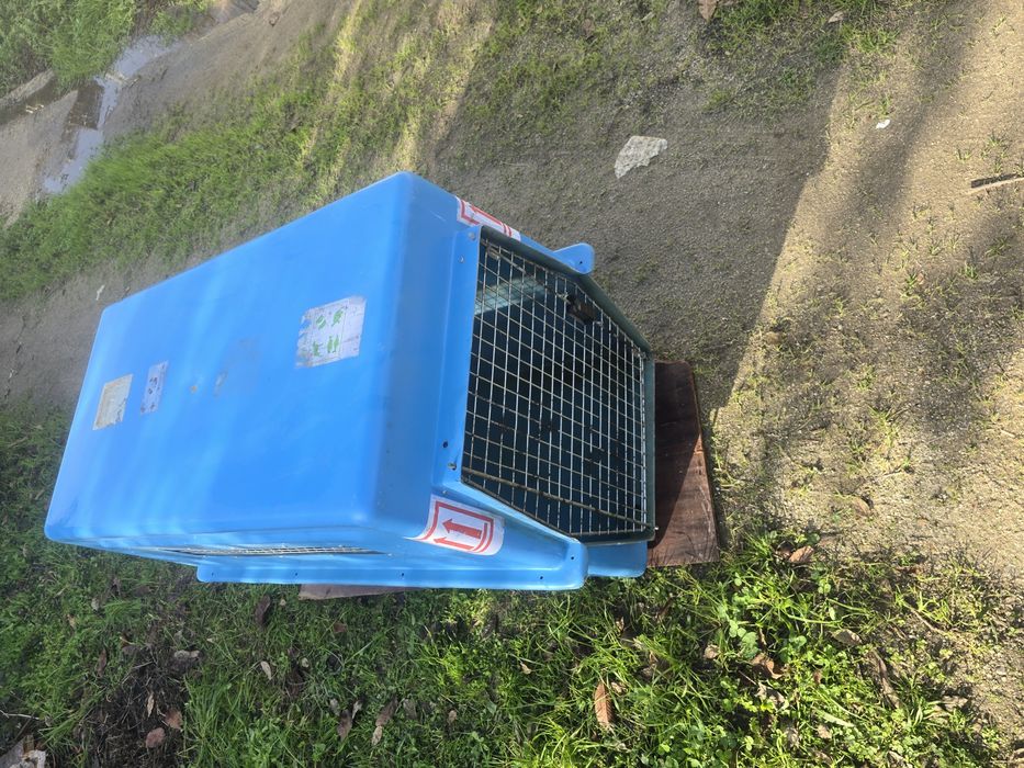 Transportadora grande