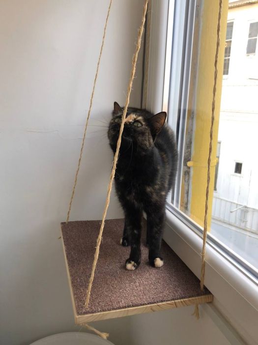 Prateleira para gatos (janela)