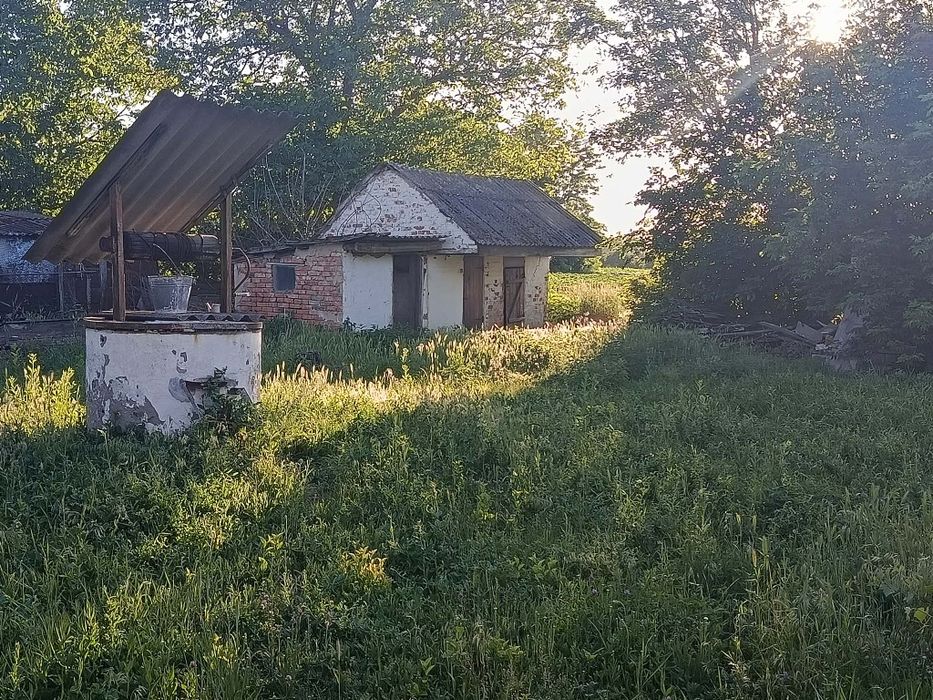 Продам Дворище срочно