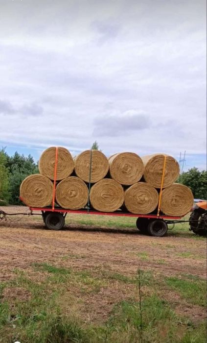 Słoma 130x120 ze stodoły po prasie pasowej transport