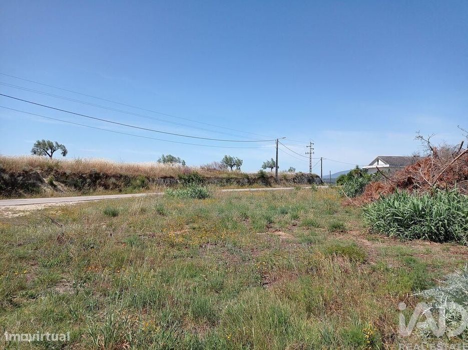 Terreno Agrícola em Madalena e Beselga