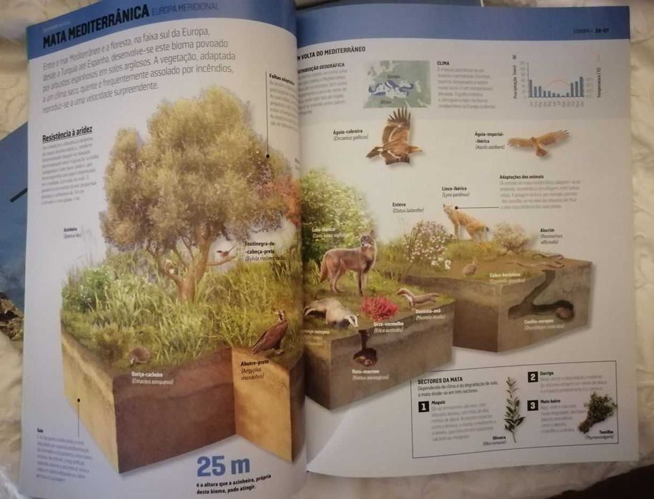 3 Revistas Atlas Ilustrado NOVOS