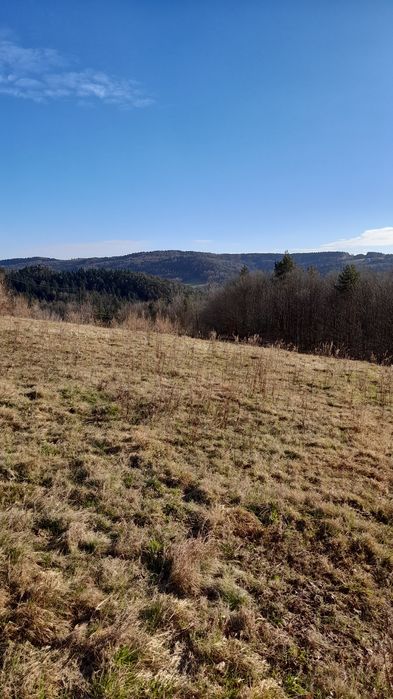 Sprzedaż działki budowlanej gm.Gródek nad Dunajcem