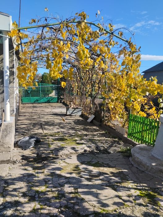 Житловий будинок смт Петрівка,Березівський район Одеської області