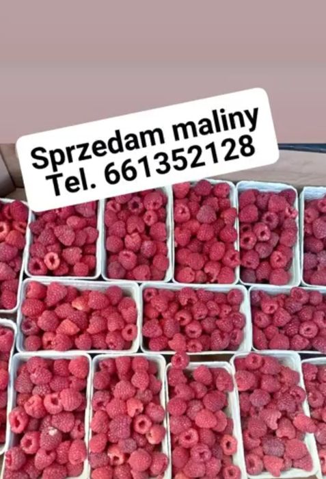Maliny  z własnej uprawy