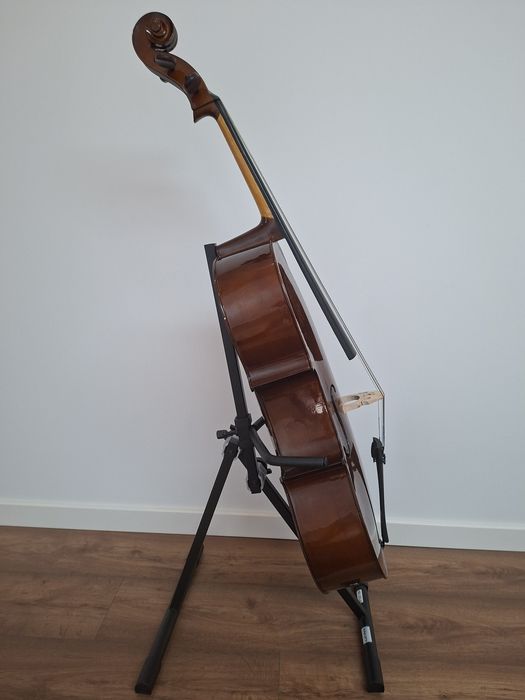 Violoncelo 1/2 Stentor