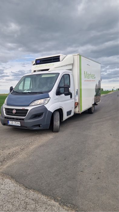 Fiat ducato Rama AL-KO chłodnia