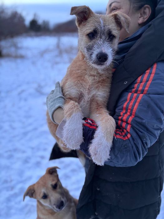 Хлопчик шукає родину