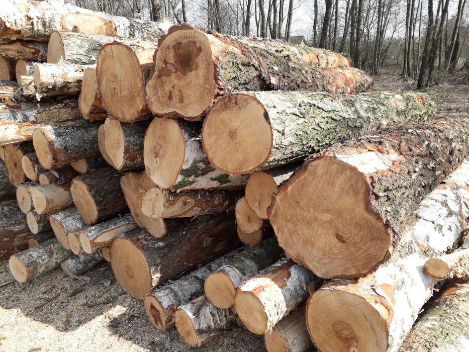 Drewno Opałowe z dowozem