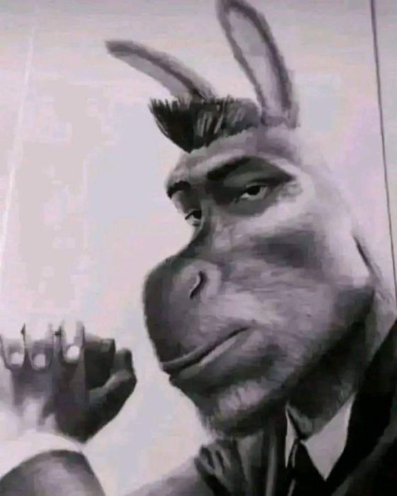 Oferuje apteczke ai-1 tym razem całą