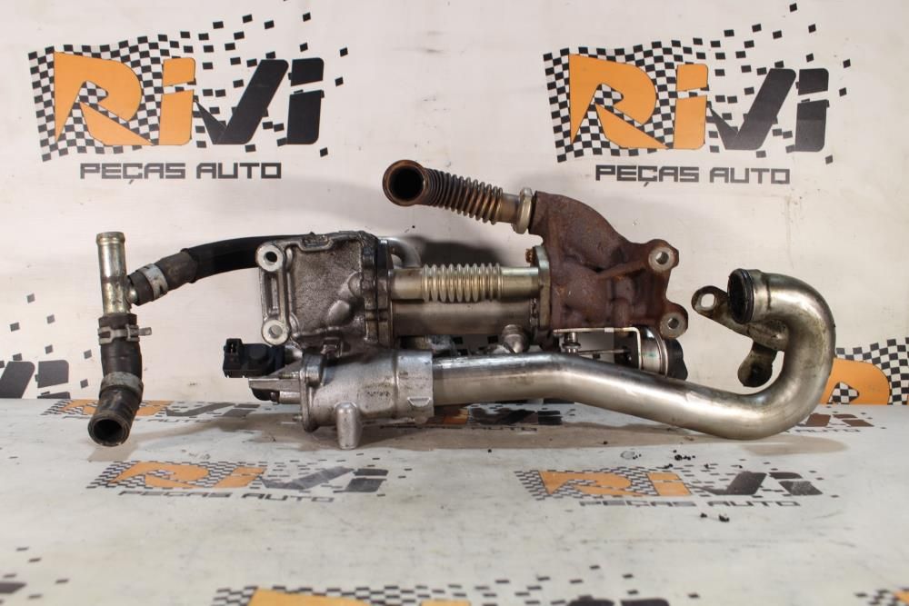 Radiador de gases / EGR RENAULT Megane III Société (BZ0_)