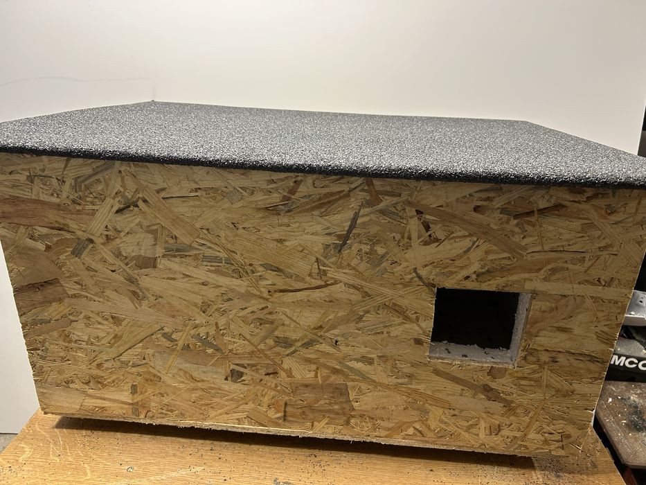 Buda dla kotow wolnozyjacych