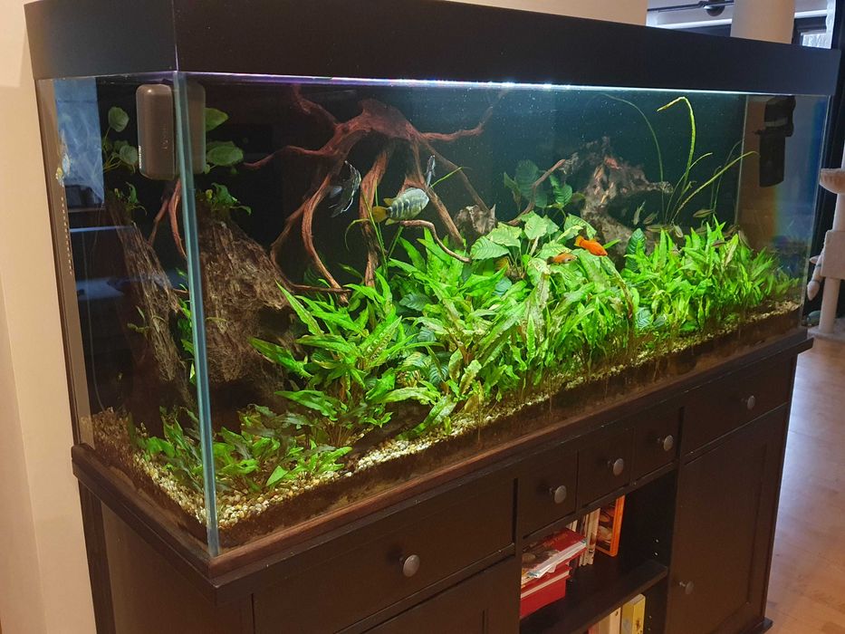 akwarium z pokrywą, komodą i pełnym wyposażeniem, bardzo dobry stan