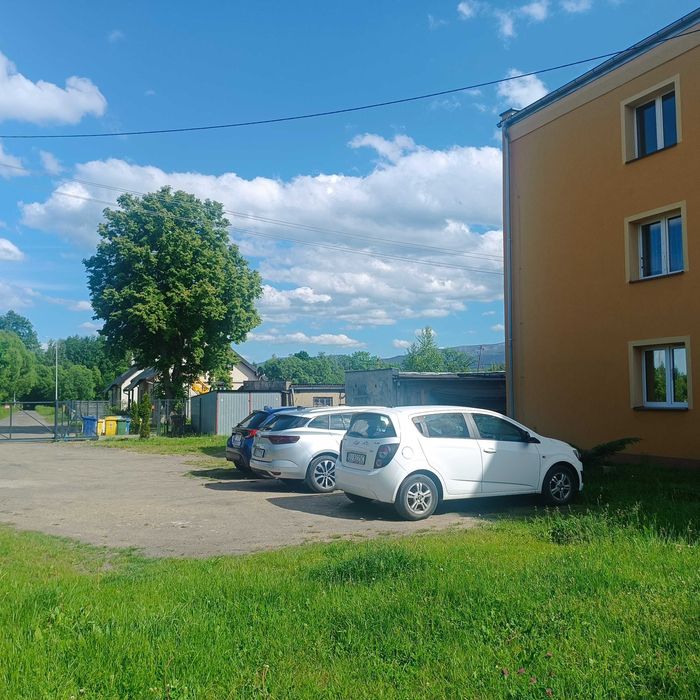 Zdjęcie 2