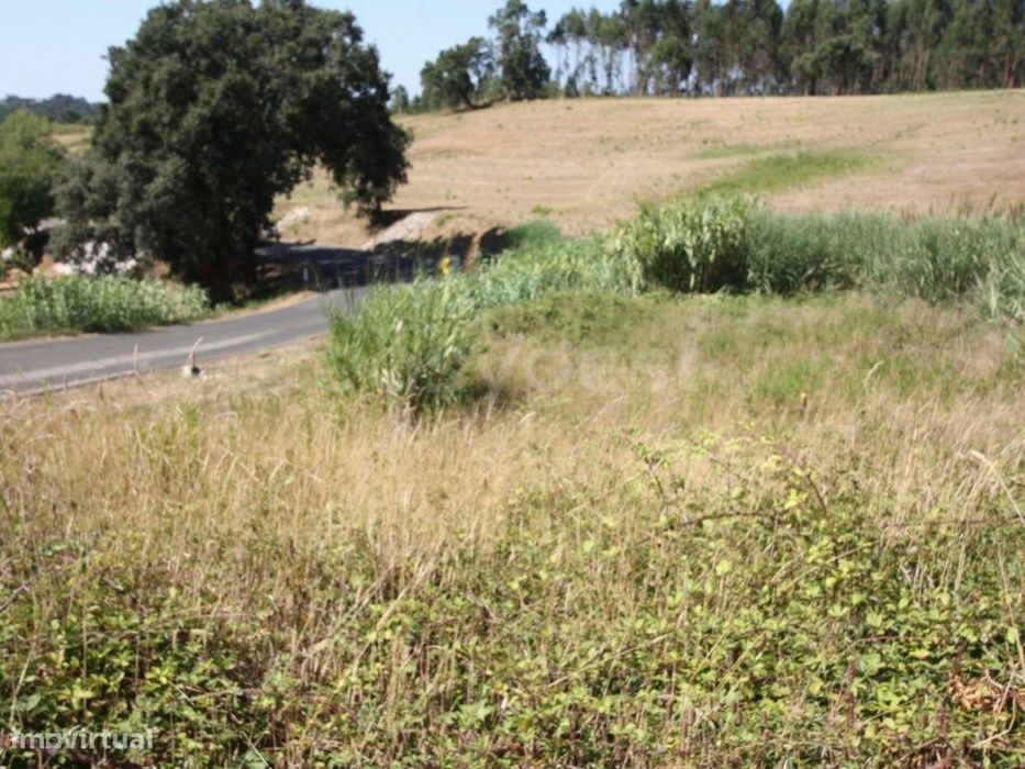 Terreno para construção em Casal do Rei - Rio Maior / Caldas da Rainha