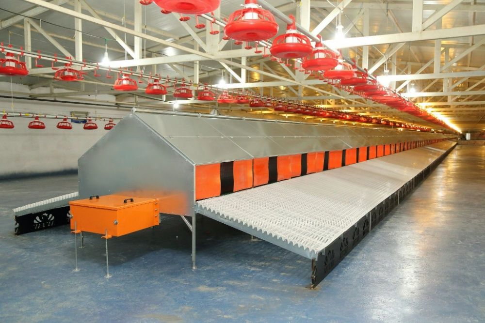 Tw Мини Птицефабрики торговля, купить Мини Птицефабрики напрямую с завода произв