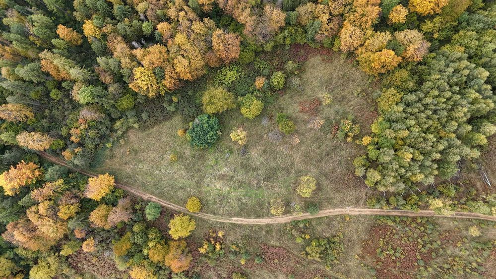 Земельна ділянка в Яремче 0.76 га