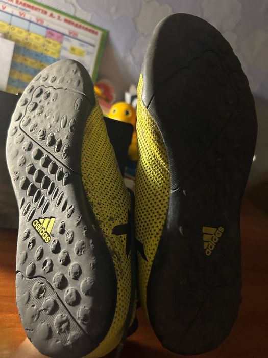 Сороканіжки футбольні