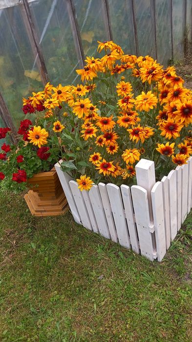 Sprzedam Mini płotek