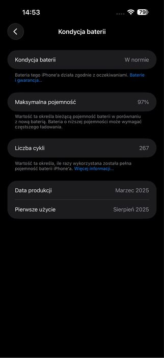 iPhone 16 Pro Max 256 GB