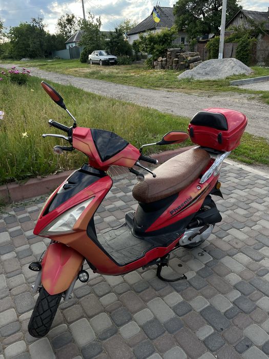 Скутер Phoenix Skymoto